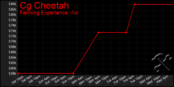 Last 7 Days Graph of Cg Cheetah