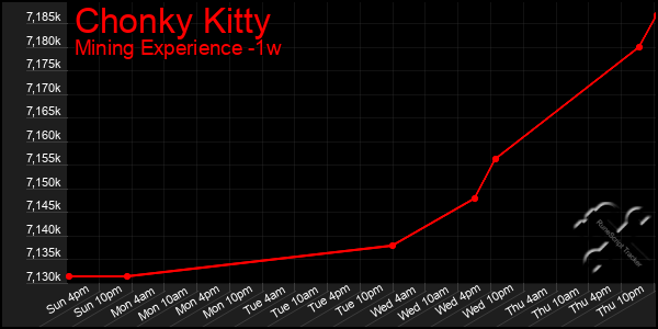 Last 7 Days Graph of Chonky Kitty