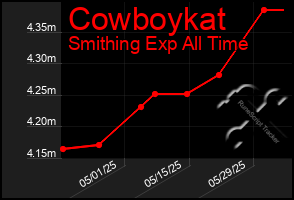 Total Graph of Cowboykat