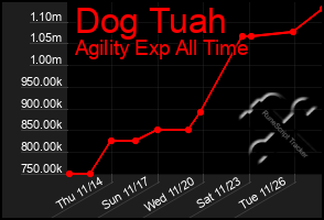 Total Graph of Dog Tuah