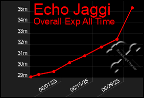 Total Graph of Echo Jaggi