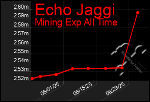 Total Graph of Echo Jaggi