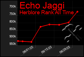 Total Graph of Echo Jaggi