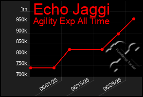 Total Graph of Echo Jaggi