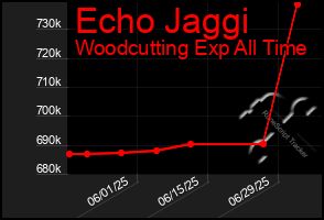 Total Graph of Echo Jaggi