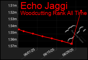 Total Graph of Echo Jaggi