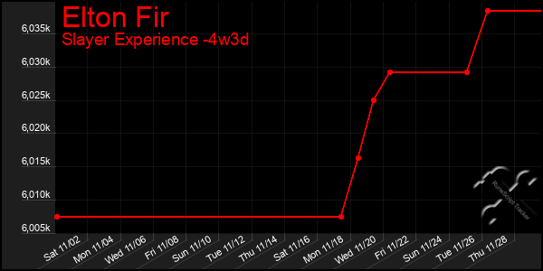 Last 31 Days Graph of Elton Fir