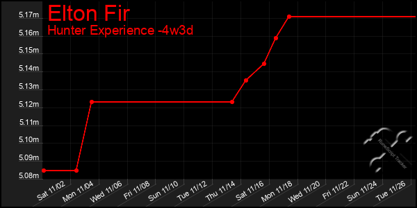 Last 31 Days Graph of Elton Fir