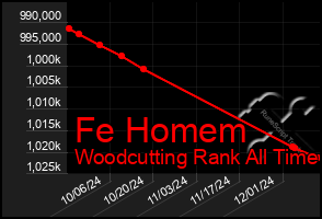 Total Graph of Fe Homem