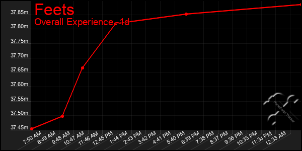 Last 24 Hours Graph of Feets