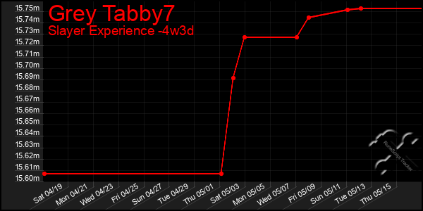 Last 31 Days Graph of Grey Tabby7