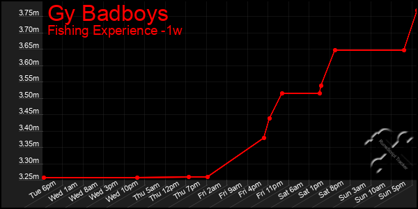 Last 7 Days Graph of Gy Badboys