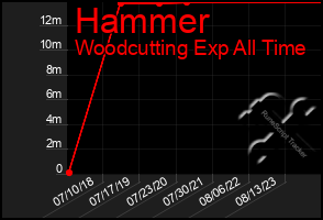 Total Graph of Hammer