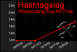 Total Graph of Hashtagslag