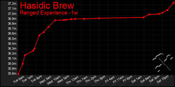 Last 7 Days Graph of Hasidic Brew