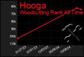 Total Graph of Hooga