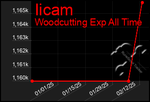 Total Graph of Iicam