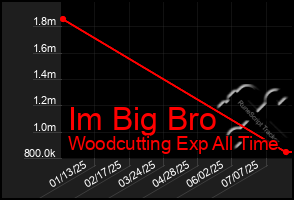 Total Graph of Im Big Bro