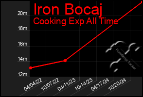 Total Graph of Iron Bocaj