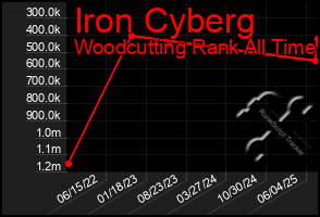 Total Graph of Iron Cyberg