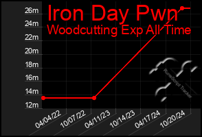 Total Graph of Iron Day Pwn