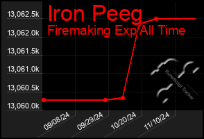 Total Graph of Iron Peeg