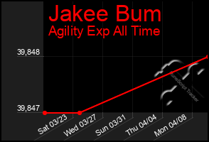 Total Graph of Jakee Bum