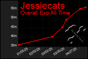 Total Graph of Jessiecats