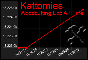 Total Graph of Kattomies