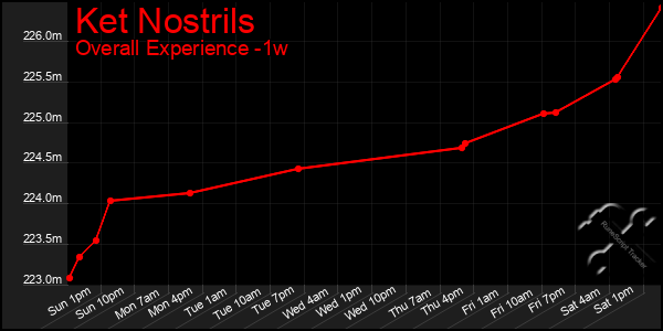 1 Week Graph of Ket Nostrils