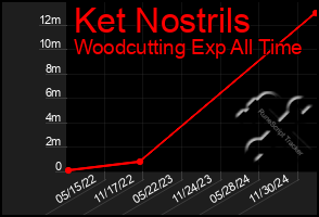 Total Graph of Ket Nostrils