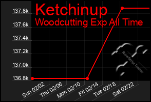 Total Graph of Ketchinup