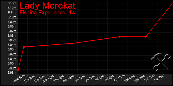 Last 7 Days Graph of Lady Merekat