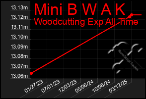 Total Graph of Mini B W A K