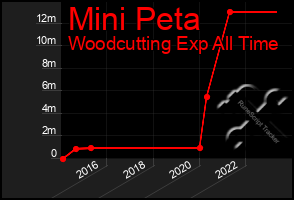 Total Graph of Mini Peta