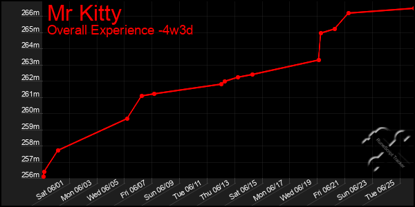 Last 31 Days Graph of Mr Kitty