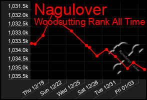 Total Graph of Nagulover