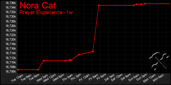 Last 7 Days Graph of Nora Cat