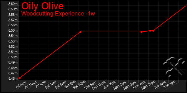 Last 7 Days Graph of Oily Olive