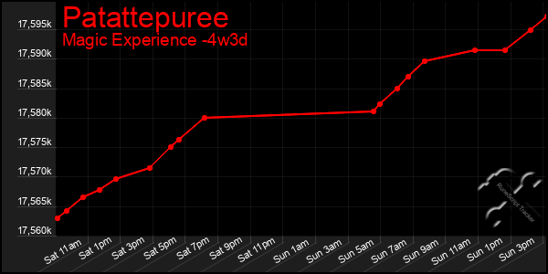 Last 31 Days Graph of Patattepuree