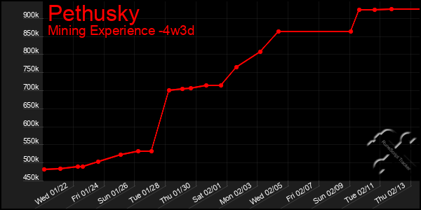 Last 31 Days Graph of Pethusky