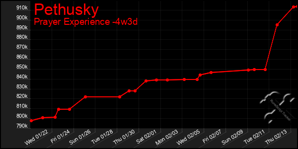 Last 31 Days Graph of Pethusky