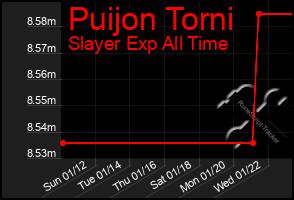 Total Graph of Puijon Torni