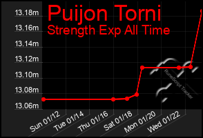 Total Graph of Puijon Torni