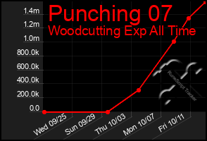 Total Graph of Punching 07