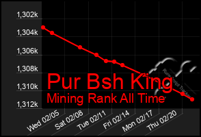 Total Graph of Pur Bsh King