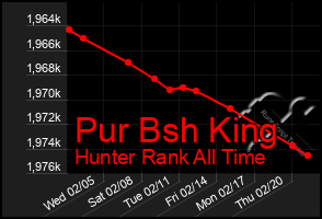 Total Graph of Pur Bsh King