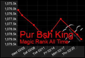 Total Graph of Pur Bsh King