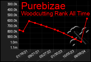 Total Graph of Purebizae