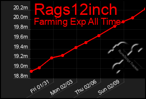 Total Graph of Rags12inch